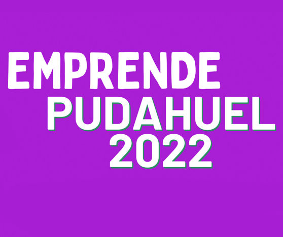 Emprende Pudahuel 2022 course image